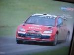 Rallye Nový Zéland
