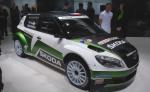 Škoda Fabia S2000 2