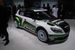 Skoda Fabia S2000