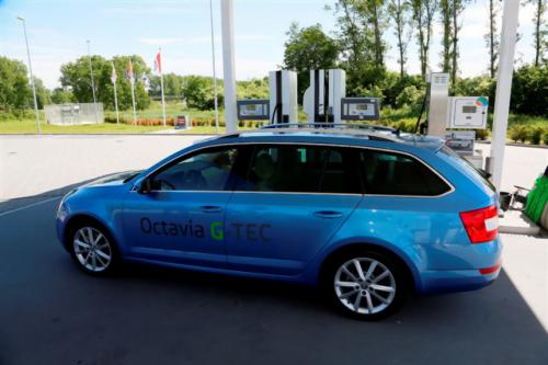 Octavia G-TEC a Plattner