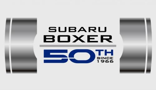 5 Symbolika 50 - boxer