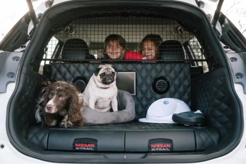 1 Nissan X-Trail 4Dogs